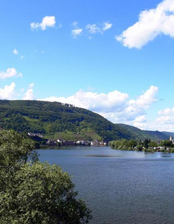 Panorama-Cafe Moselgarten Alf Eksteriør bilde
